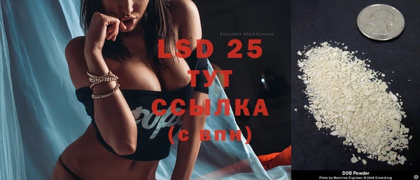 ГАЛЛЮЦИНОГЕННЫЕ ГРИБЫ Аркадак