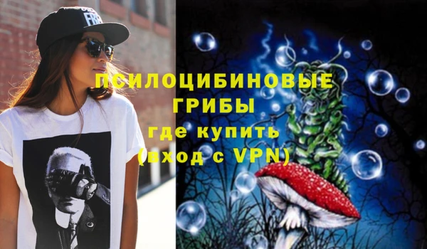 ГАЛЛЮЦИНОГЕННЫЕ ГРИБЫ Аркадак
