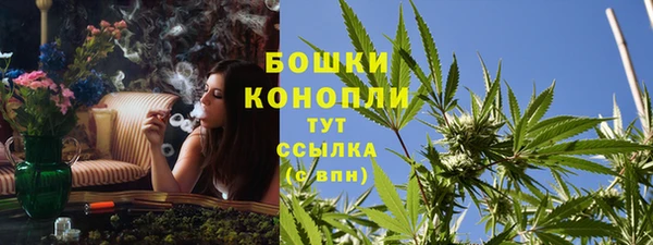 спиды Арсеньев