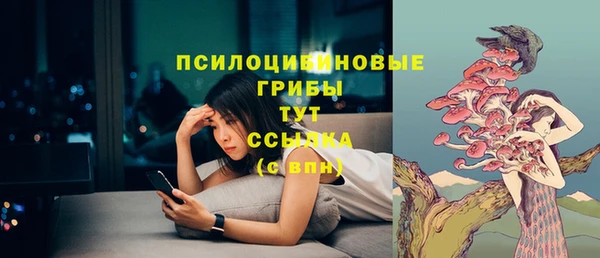 ГАЛЛЮЦИНОГЕННЫЕ ГРИБЫ Аркадак