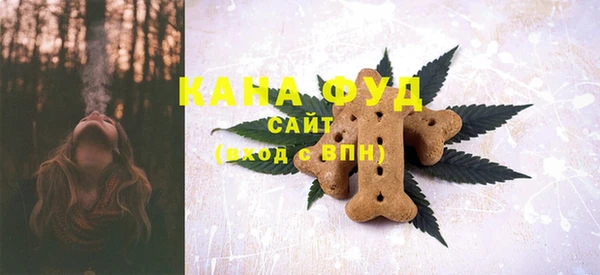 ГАЛЛЮЦИНОГЕННЫЕ ГРИБЫ Аркадак